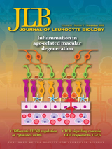 jlb98